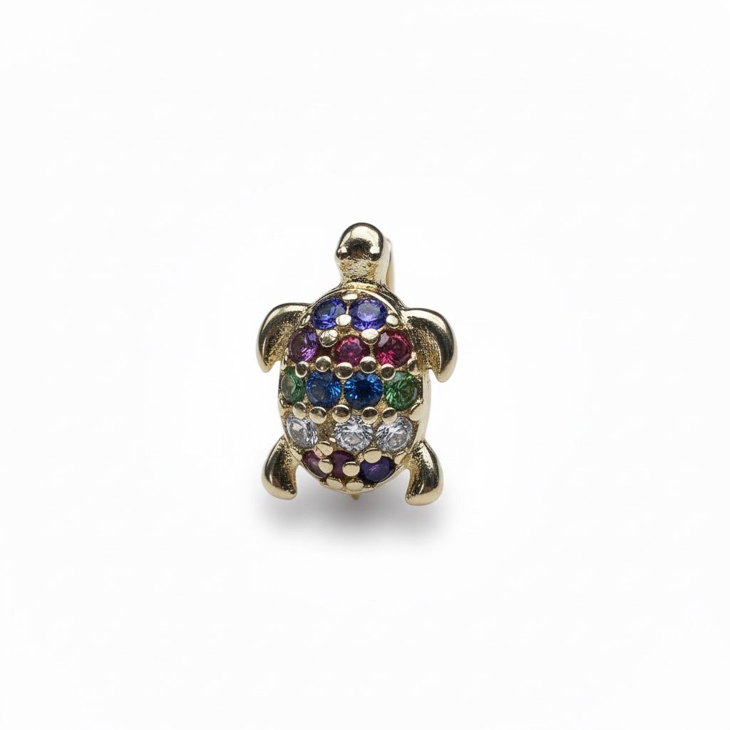 ARETE TORTUGA